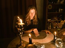 Celestial Willow, photo #10